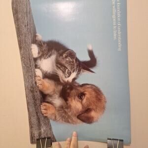 Kitten Poster 1987 Argus, Kitten And Dog. The Foundation Of Understanding